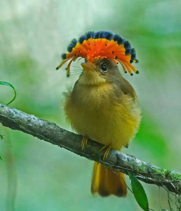 469616582 18322389883083346 2102337542427908857 n